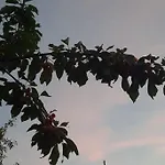 S Bazenom Anastazija * Poljica (Zadar)