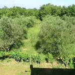 S Bazenom Anastazija Villa *