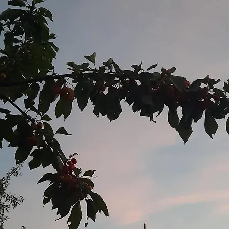 S Bazenom Anastazija * Poljica (Zadar)