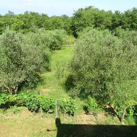 S Bazenom Anastazija Villa *