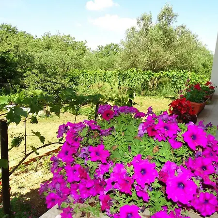 Villa S Bazenom Anastazija Poljica (Zadar)
