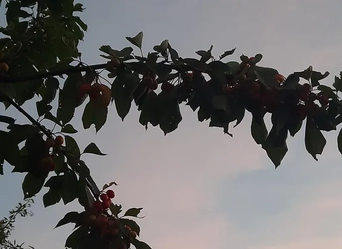 S Bazenom Anastazija * Poljica (Zadar)