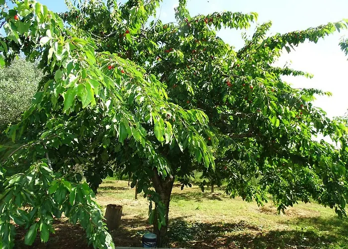 S Bazenom Anastazija 빌라 *