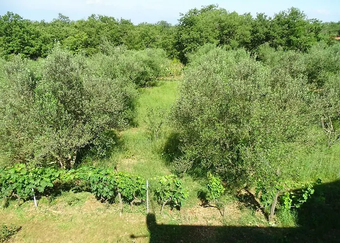 S Bazenom Anastazija 빌라 *